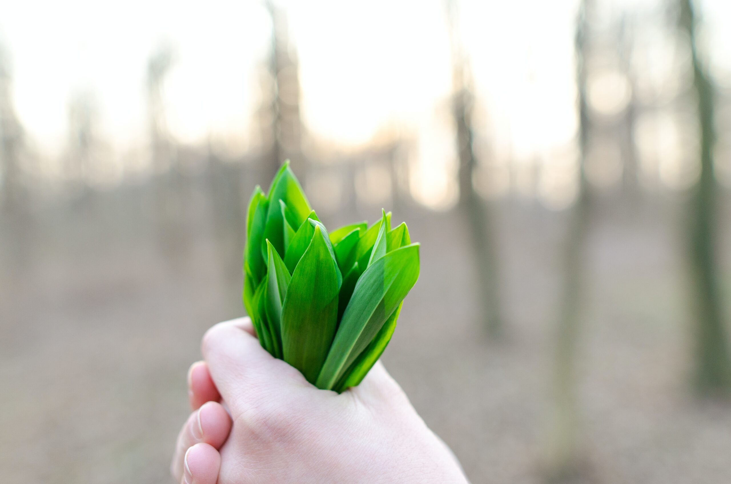 Natuba Health - An Unique Approach to Health
